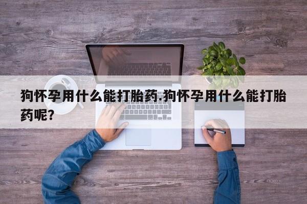 米索前列醇在线下单狗怀孕用什么能打胎药.狗怀孕用什么能打胎药呢？