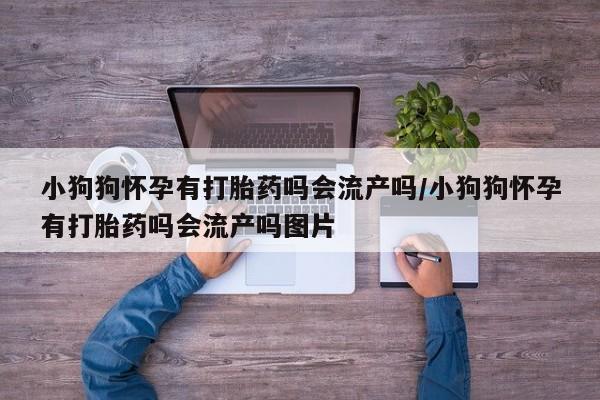 米索前列醇在线下单小狗狗怀孕有打胎药吗会流产吗/小狗狗怀孕有打胎药吗会流产吗图片