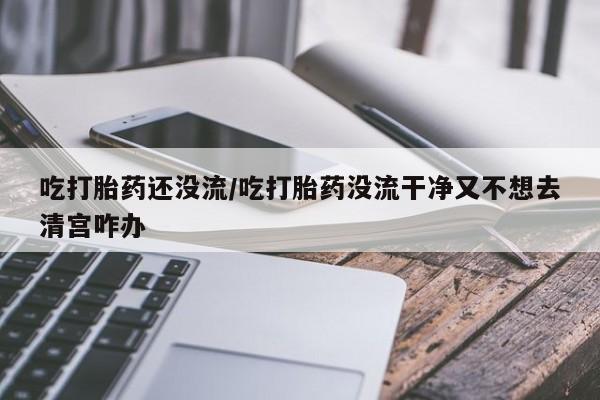 米索前列醇在线下单吃打胎药还没流/吃打胎药没流干净又不想去清宫咋办