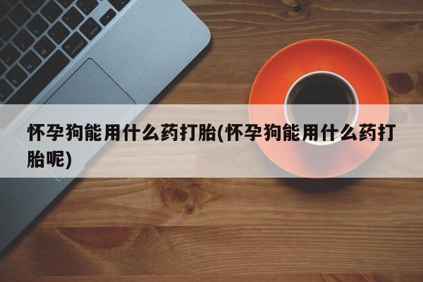 米索前列醇在线下单怀孕狗能用什么药打胎(怀孕狗能用什么药打胎呢)